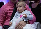 IMG 2584